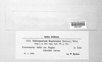 Image Associated With the Occurence